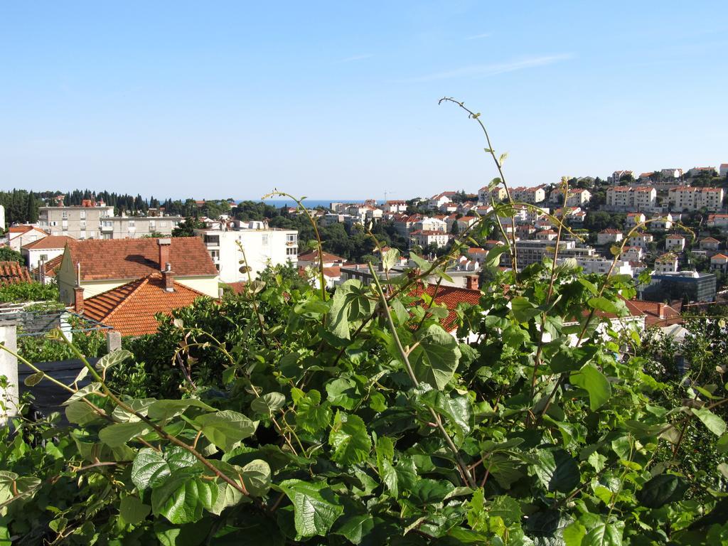 Apartments Gera Dubrovnik Exteriör bild